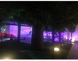 雷色印象空間展廳