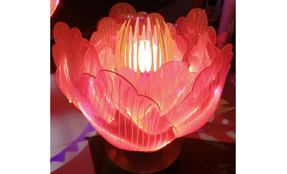 心花怒放 LS-Flowering