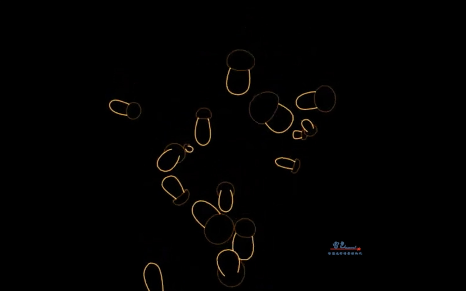 雷色光電 | 影像·動漫光雕秀(圖18)