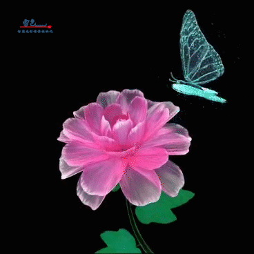 雷色光電丨智聯視頻投影燈帶來全新體驗！(圖9)