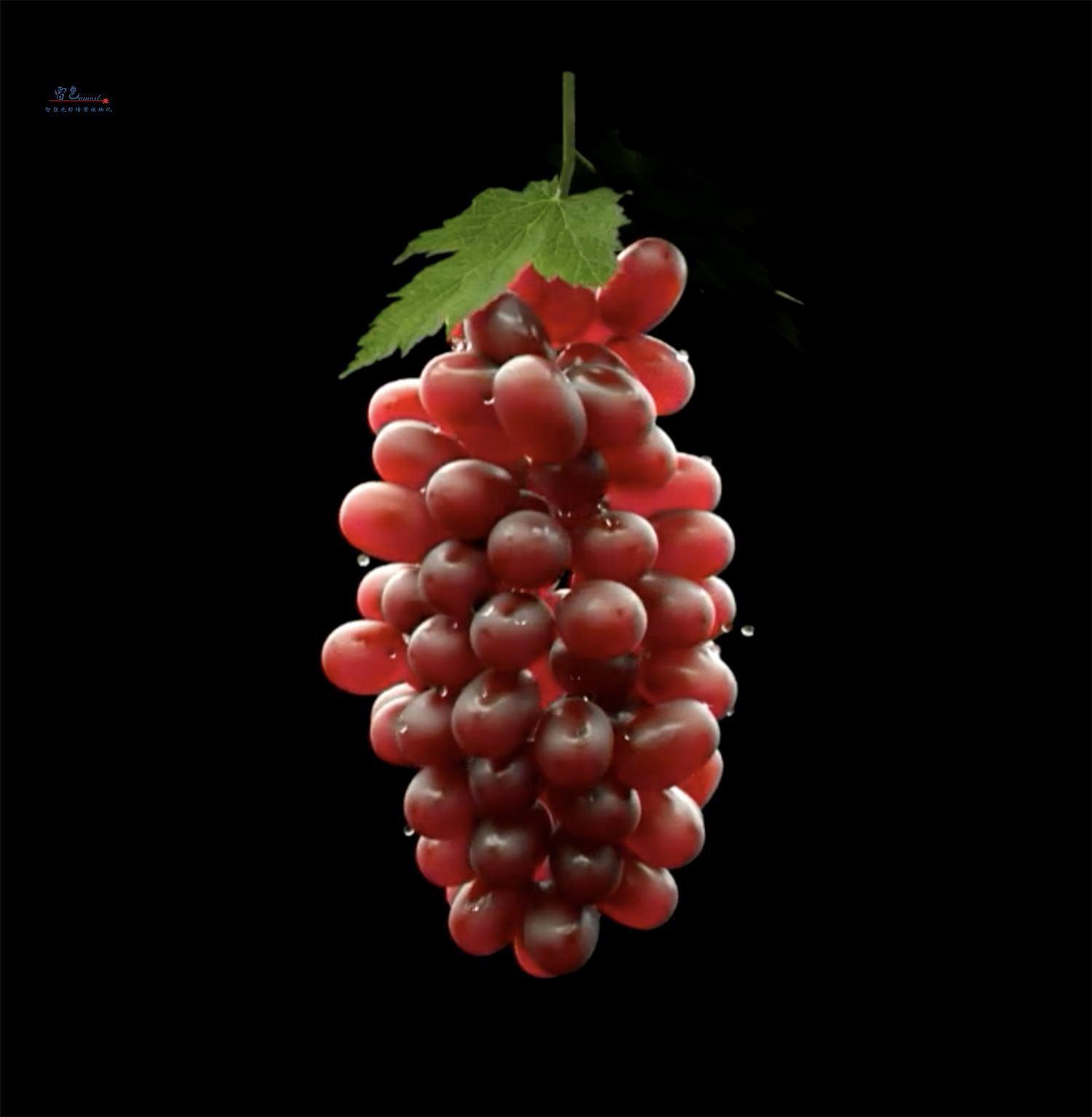 雷色光電丨智聯視頻投影燈帶來全新體驗！(圖15)