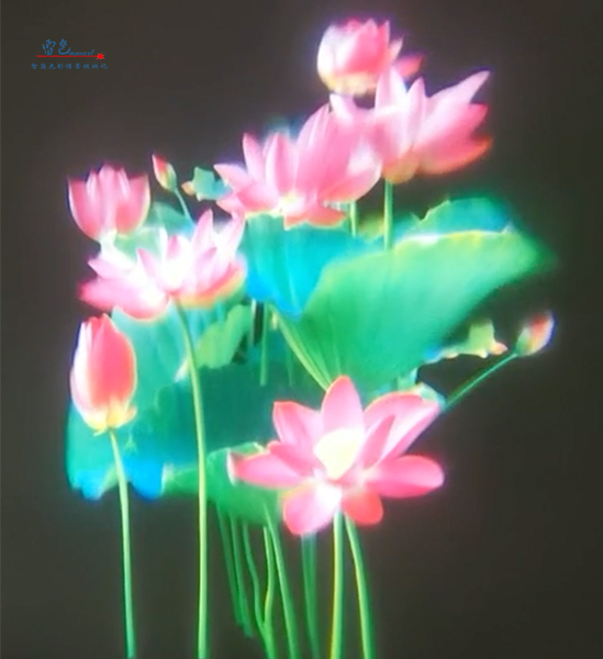 雷色光電｜LED·夢幻水影燈/LS-SY100～LS-SY600(圖3)