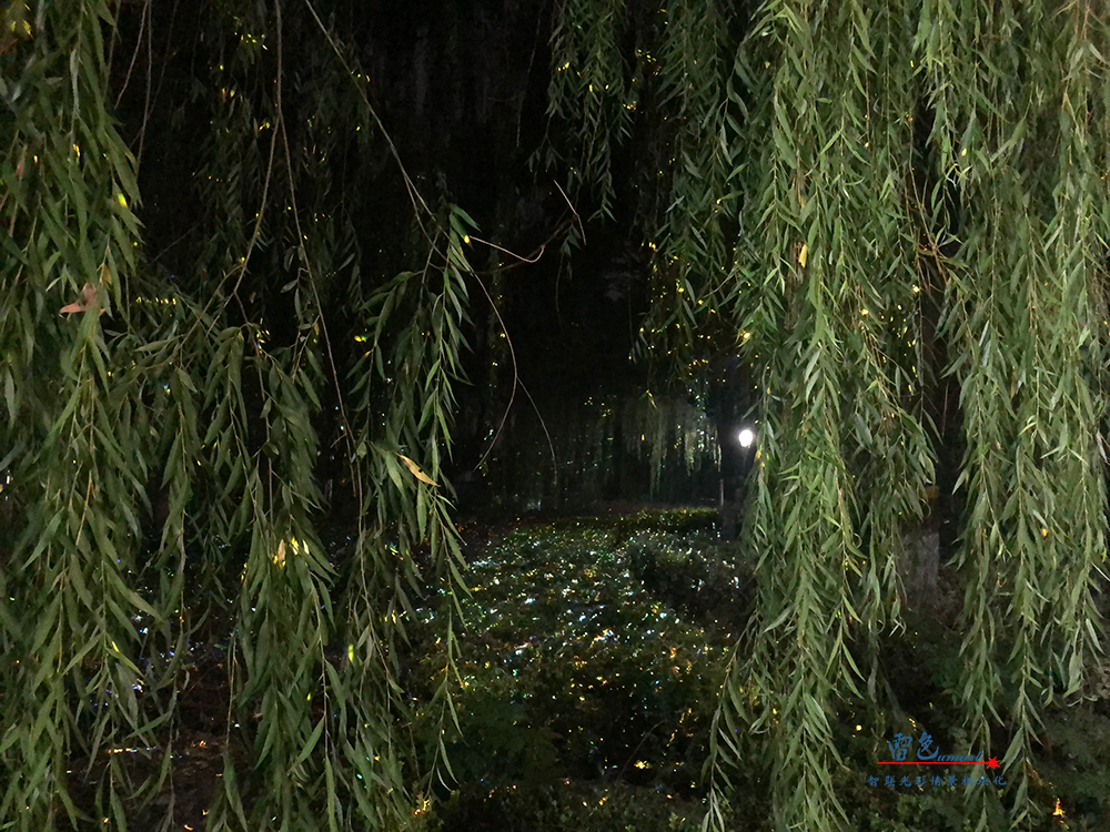 由雷色光電打造的“大美漯河·水韻西城”共慶百年華誕月灣湖之夜主題燈光秀上演啦！(圖10)