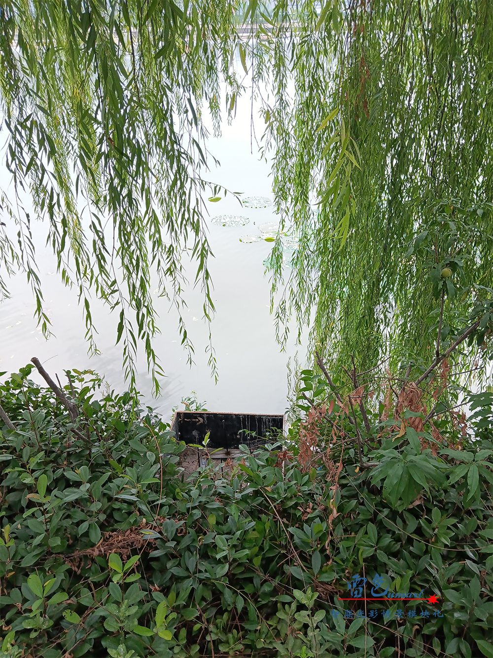 由雷色光電打造的“大美漯河·水韻西城”共慶百年華誕月灣湖之夜主題燈光秀上演啦！(圖16)