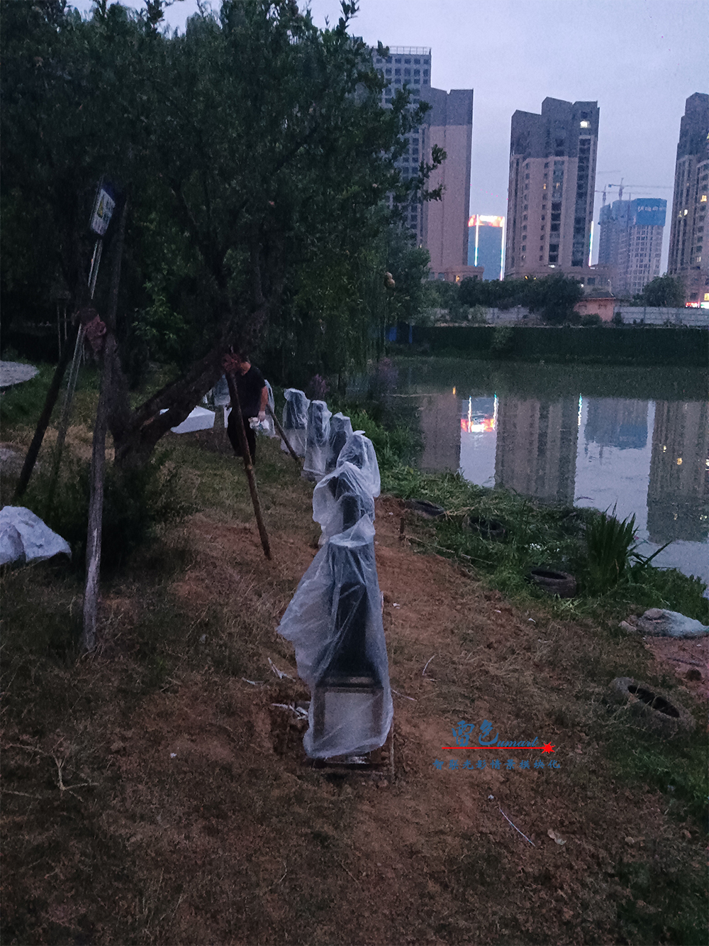 由雷色光電打造的“大美漯河·水韻西城”共慶百年華誕月灣湖之夜主題燈光秀上演啦！(圖15)