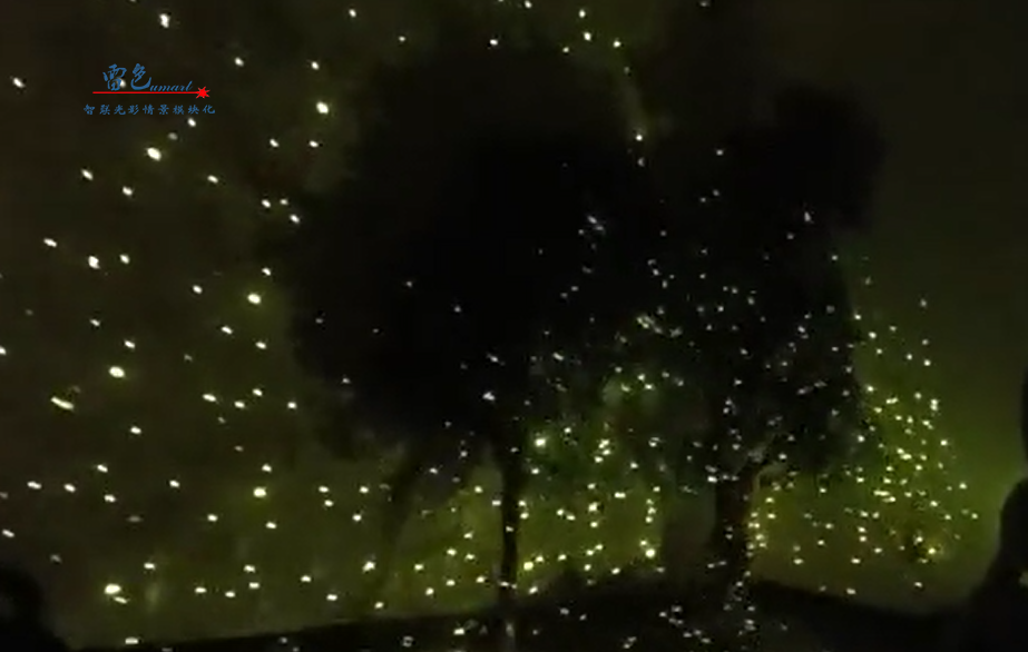 雷色光電全新系列亮化科技產品介紹(圖50)