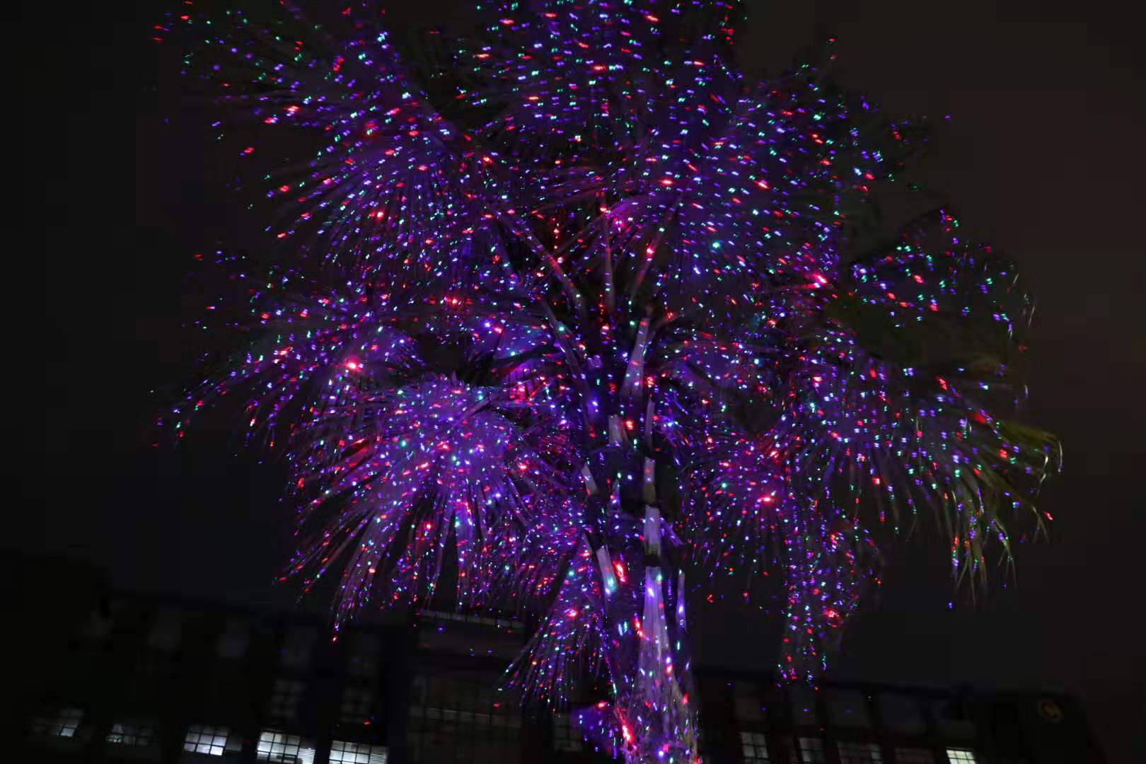 雷色光電全新系列亮化科技產品介紹(圖56)