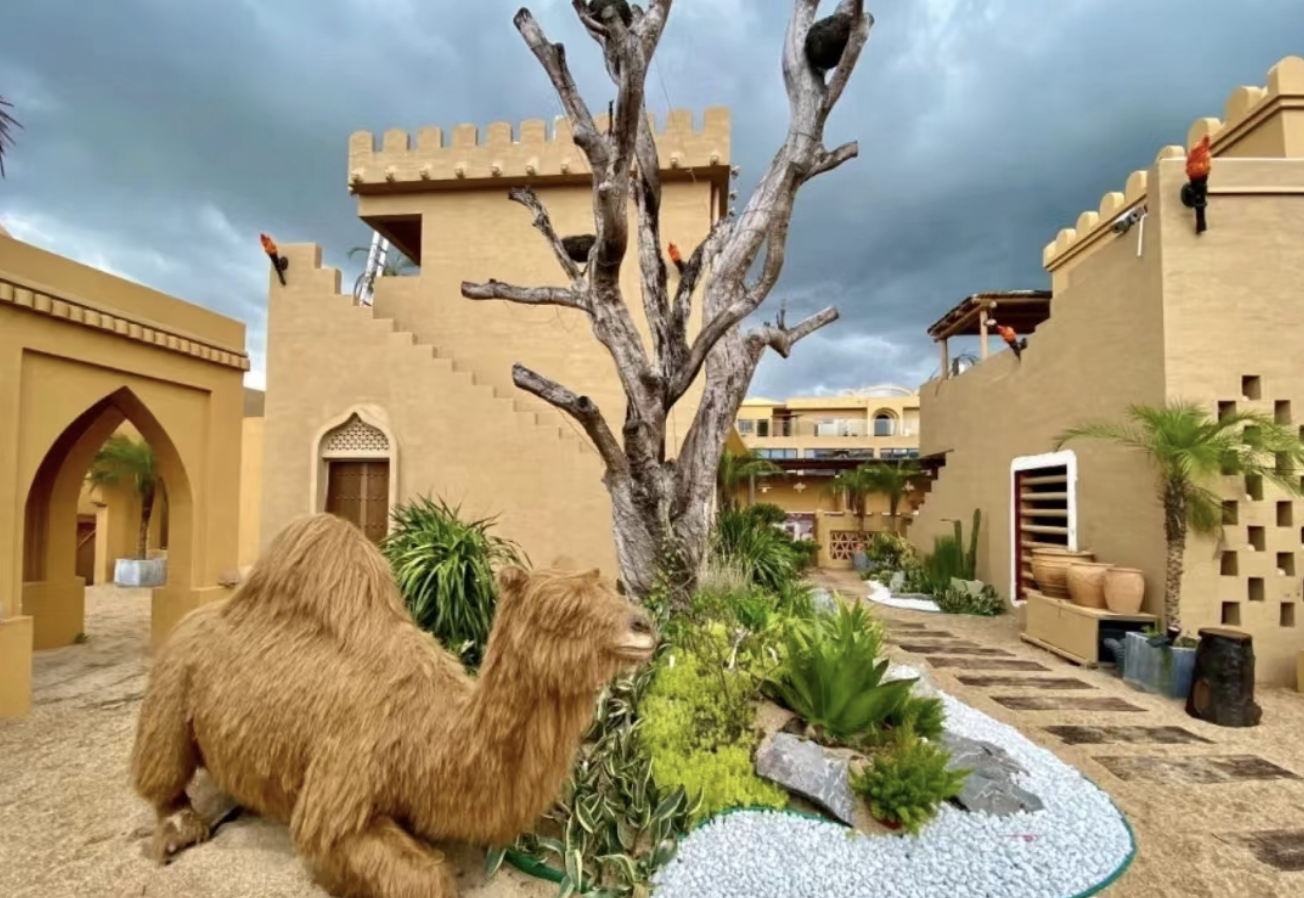 雷色光電案例分享丨大漠幻城，燈影搖曳(圖1)