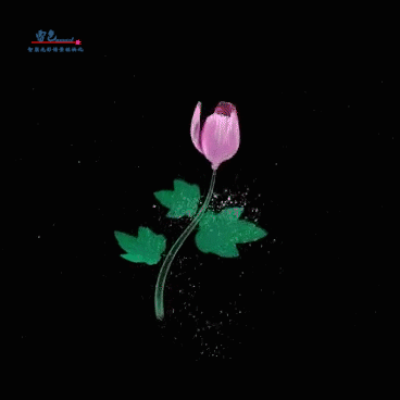 新品推薦丨3500LM智聯視頻投影燈帶來全新體驗！(圖6)