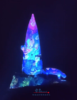 光影交織，夢想啟航——雷色光電2023光影年鑒與2024夢幻前瞻！(圖19)